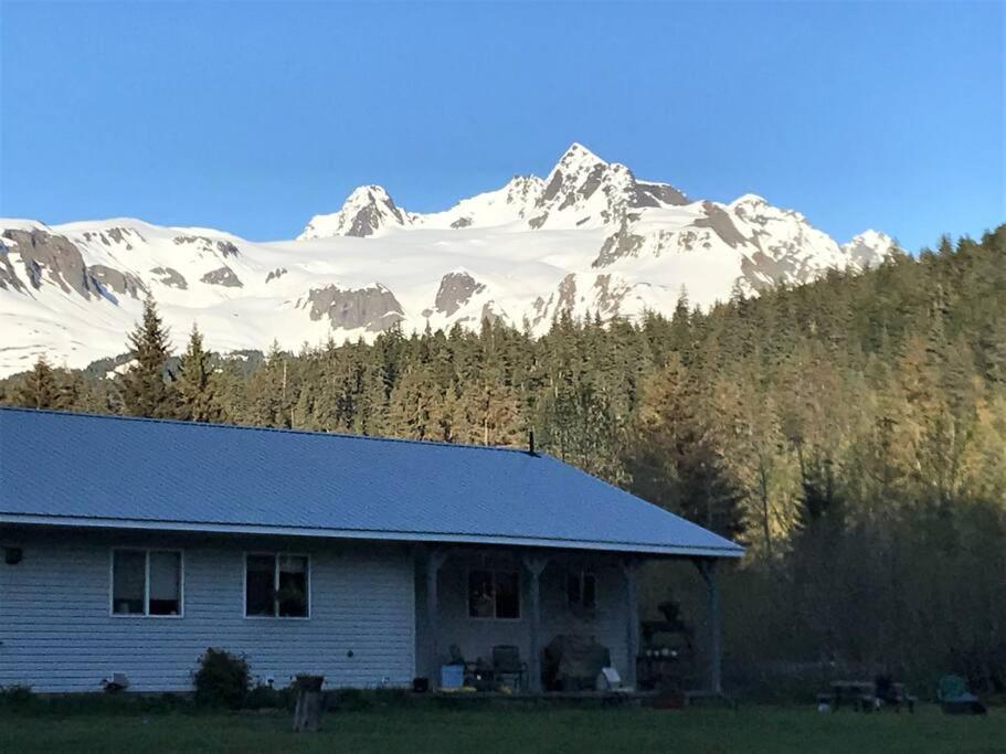 Spruce Goose Ferienhaus Seward